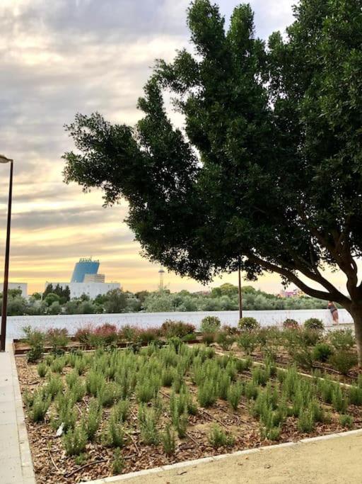 En Patio Sevillano Alameda-Isla Magica Ngoại thất bức ảnh